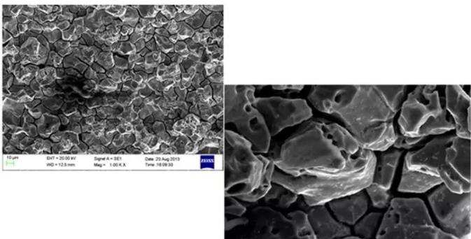 临高临高蔡司临高扫描电镜